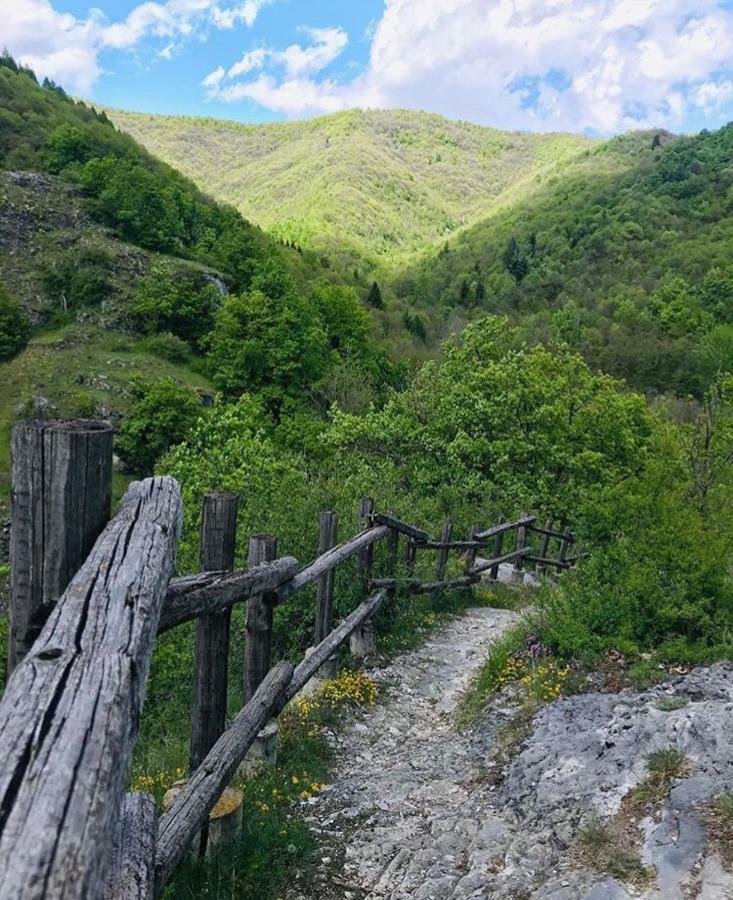 B&B Pisolo E I Persi Pien Roccasparvera Kültér fotó